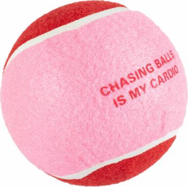 Dog Ball Chase Me Rouge