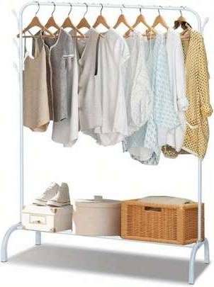 Shein Metal Heavy Duty Rail With Storage Shelf Clothes Rack