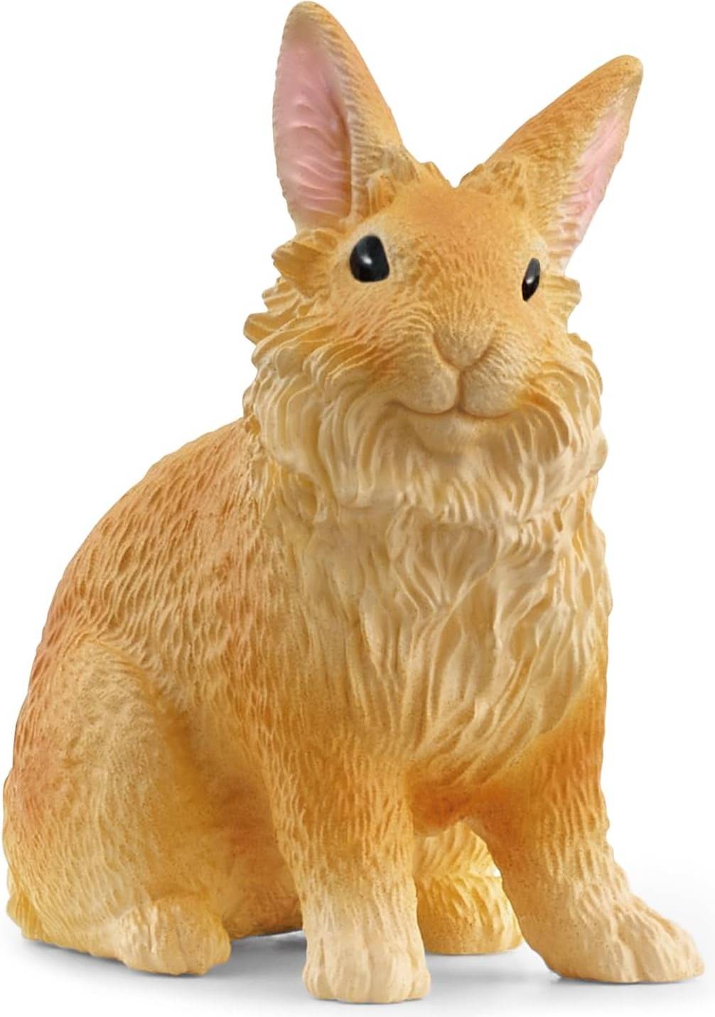 Lionhead Rabbit 13974