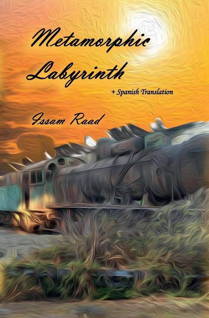 Labyrinth Metamorphic Labyrinth (Paperback)