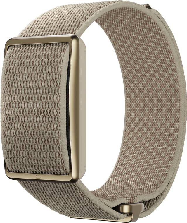 Loop Greige Sand
