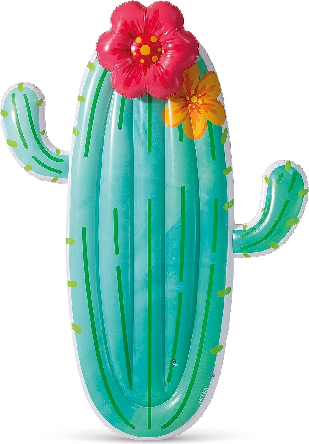 Intex Cactus Float