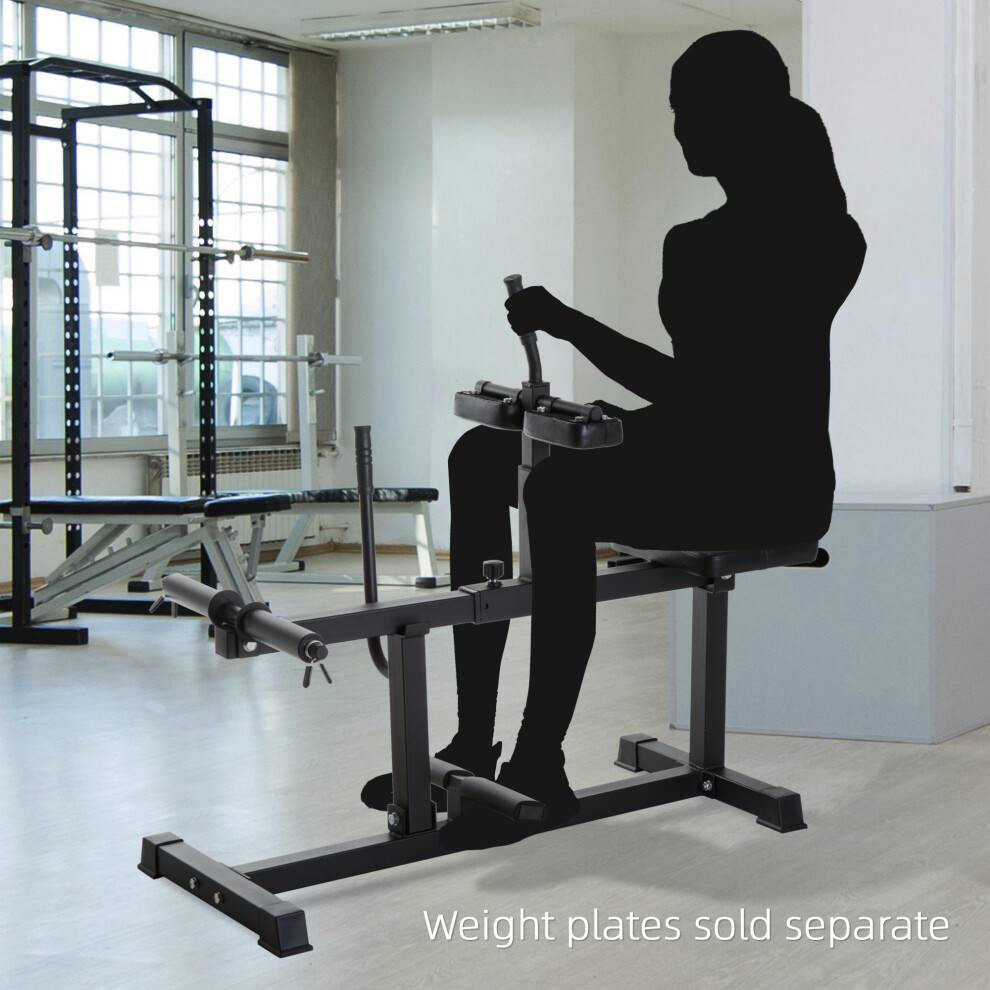 Sportnow Seated Adjustable Leg Extension Machine