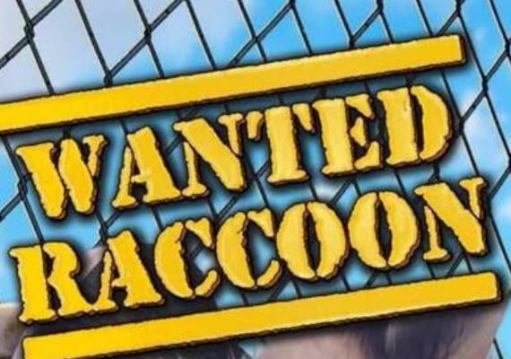 Wanted Raccoon PC Game