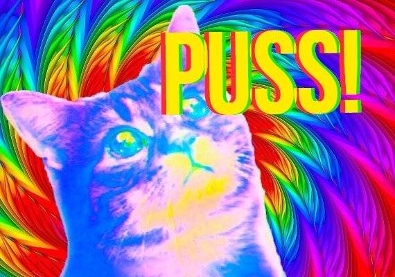 Puss PC Steam Key