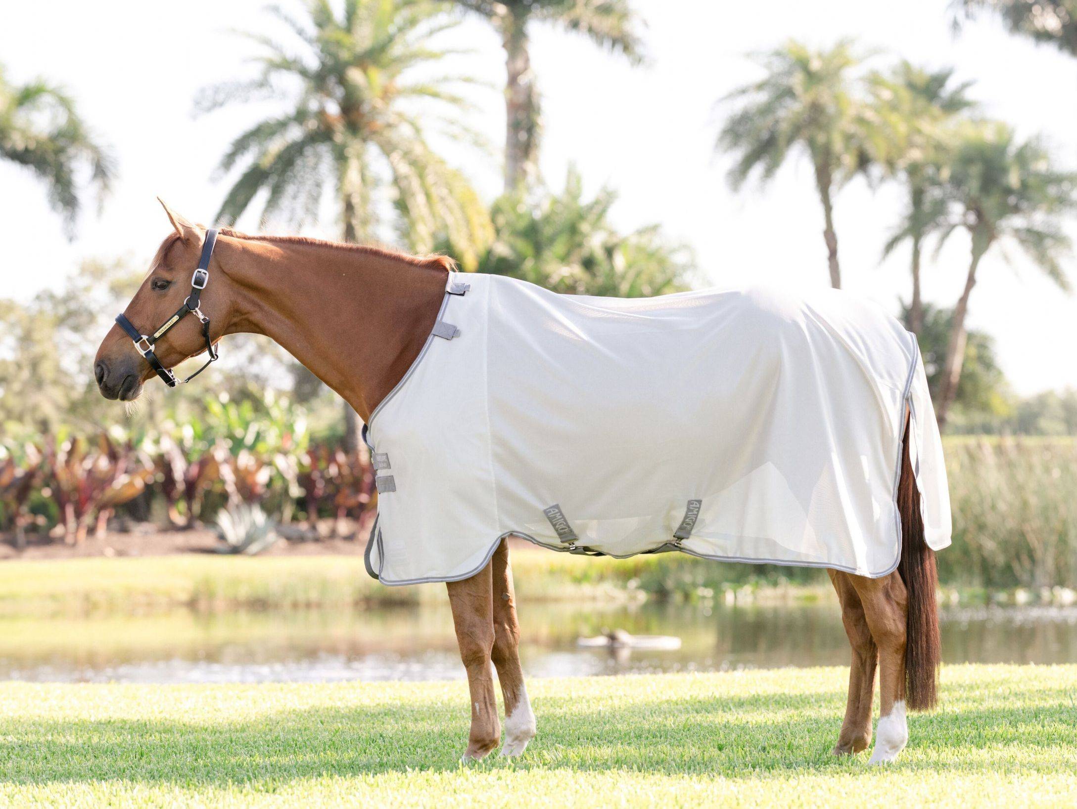 Horseware Amigo Bug Rug
