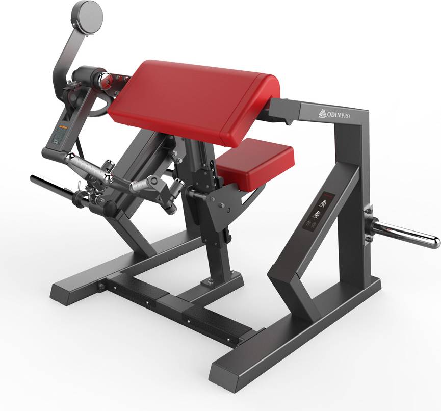 Pro PL Biceps Curl