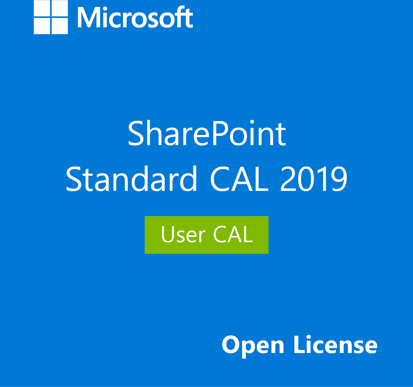 Microsoft SharePoint Server 2019 Standard User CAL