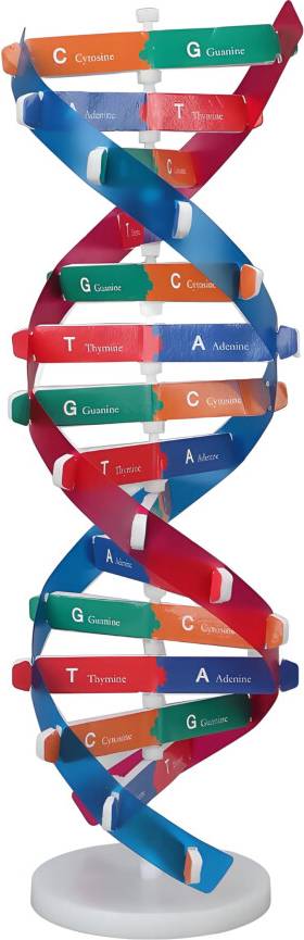 Double Spiral Assembly Kit