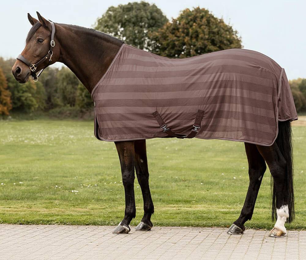 Waldhausen Economic Fly Rug