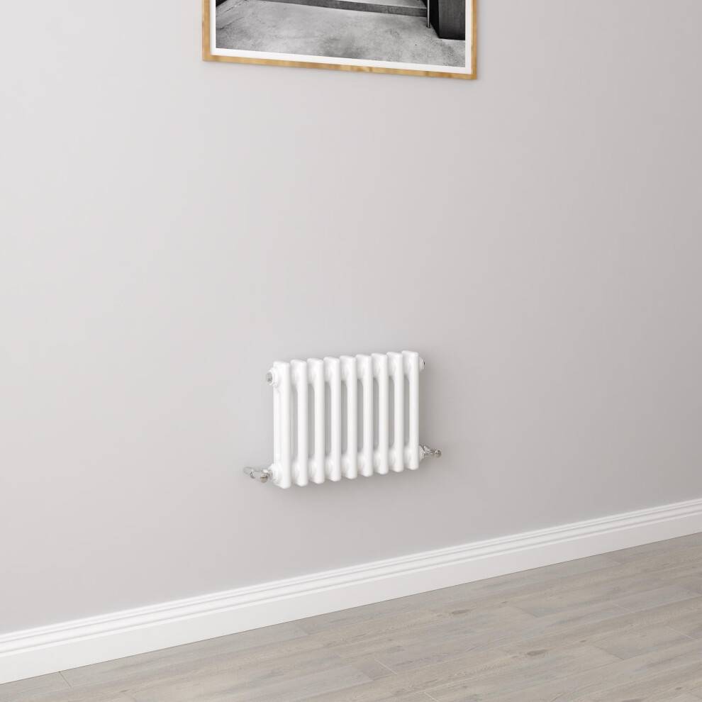 Traditional Cast Iron Radiator 300x425mm 2 Column