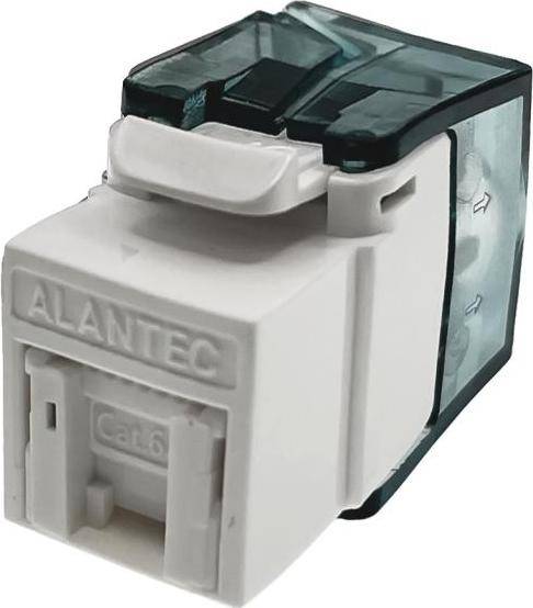 Keystone RJ45 UTP Cat 6A Module