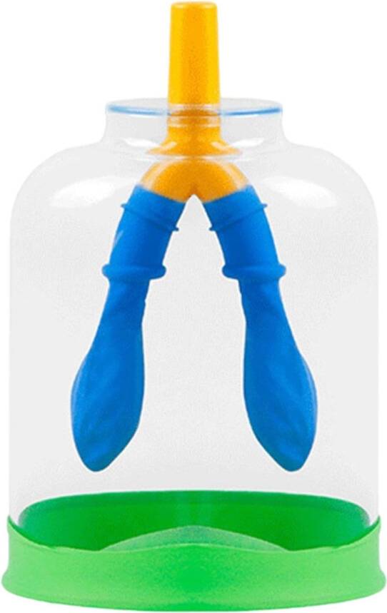 Lung Function Demonstration Respiratory Model