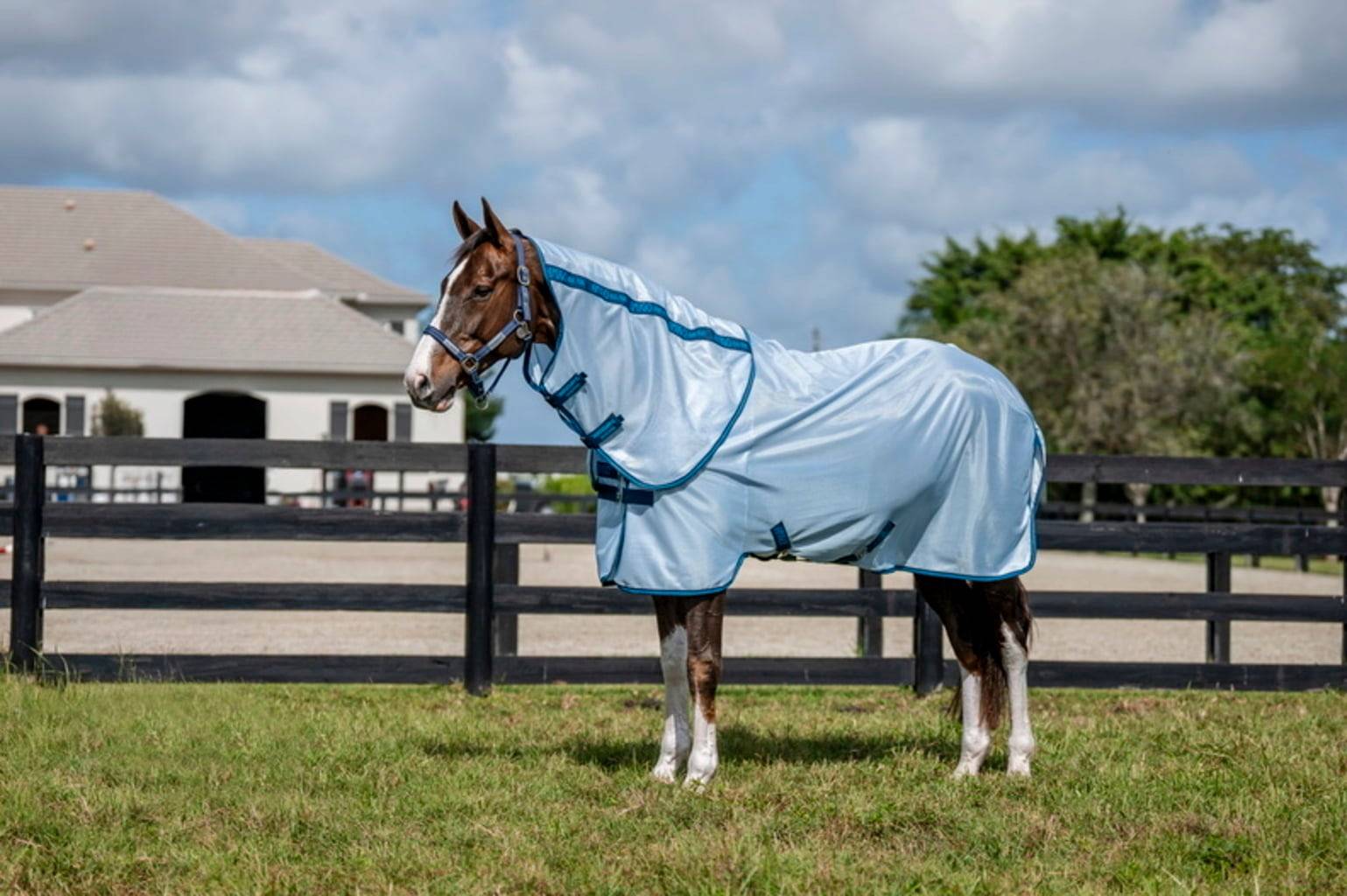 Horseware Amigo Bug Rug