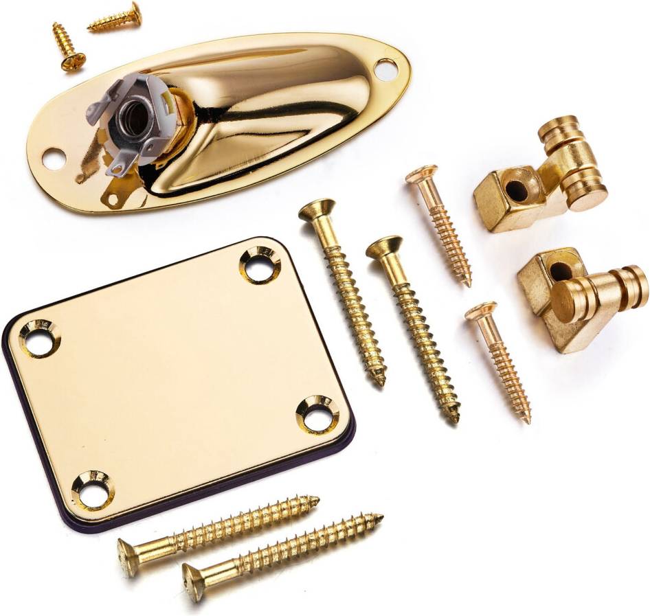 Guitar String Tree Retainer Set