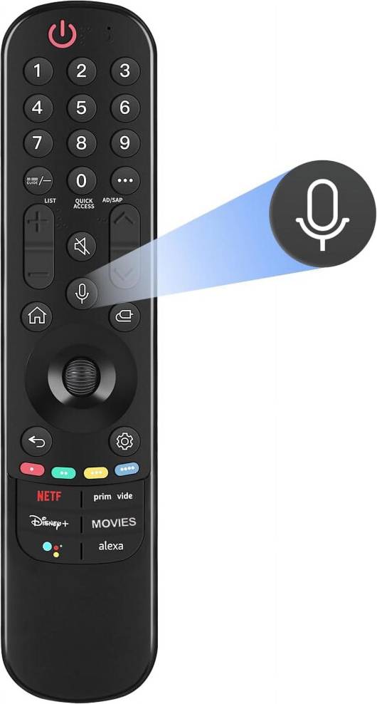 Voice Remote Control