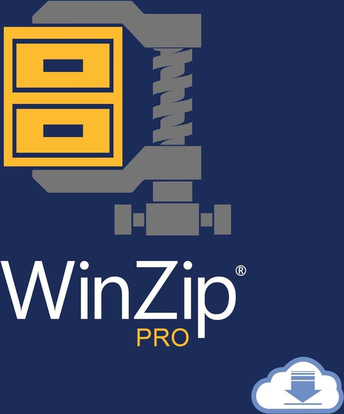 WinZip 30 Pro Dauerlizenz Key