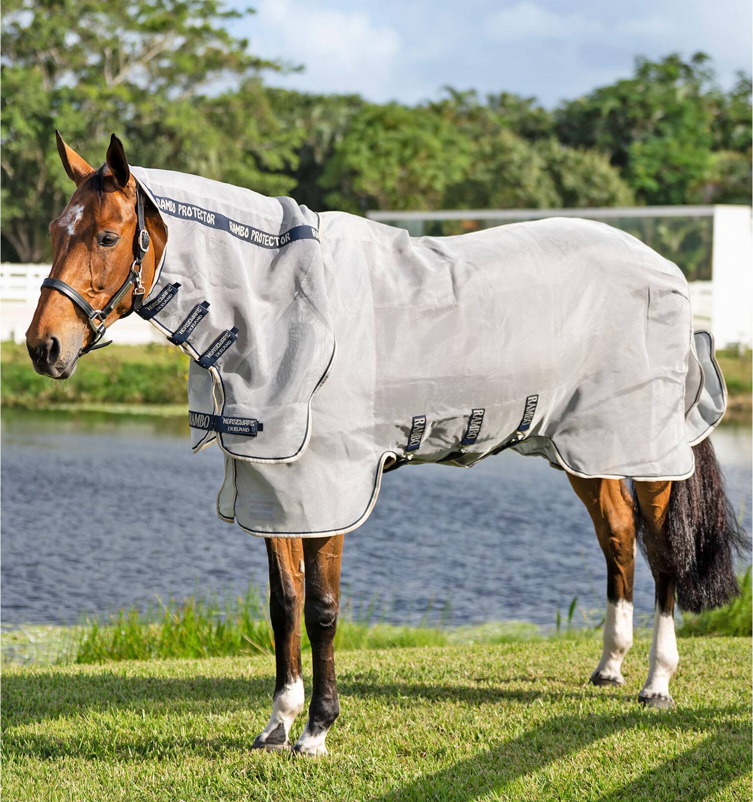 Horseware Rambo Protector