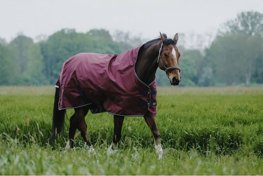 Coperta Da Paddock Tyrex 1200D - Rouge