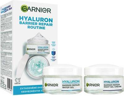 Garnier Hyaluron Barrier Repair Routine Skincare Set