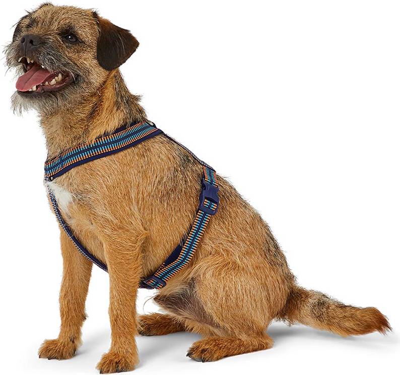 Pets at Home Rugged Webbing Dog Harness - Blue