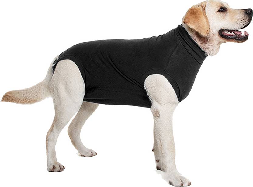 Recovery For Dogs Black Large