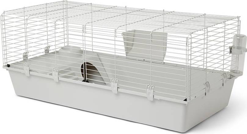 Temporary Guinea Pig Rabbit Home Pets