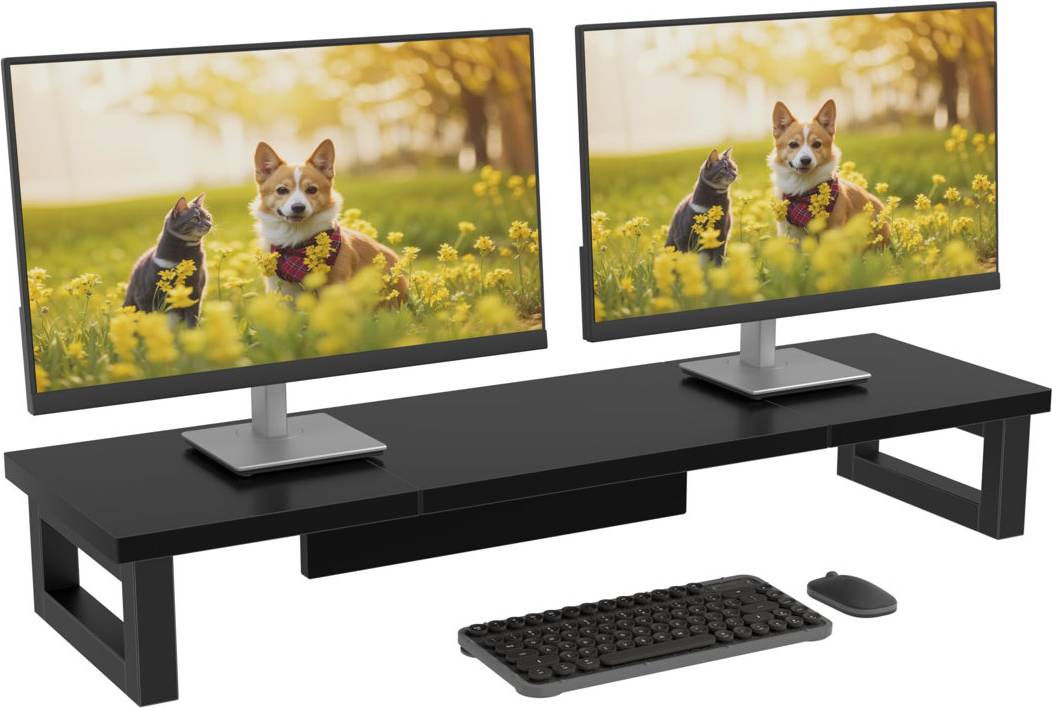 Monitor pc Ivy Bronx Dual Monitor Stand Riser For Laptop Pc