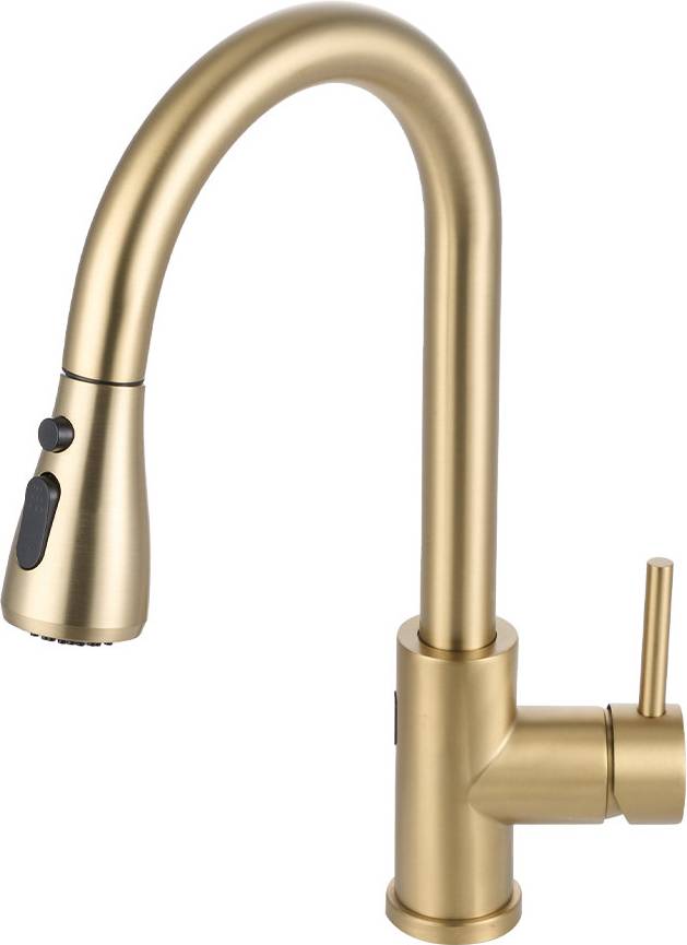 Belfry Kitchen Pull-Out Sensor Faucet LED Light 15cm