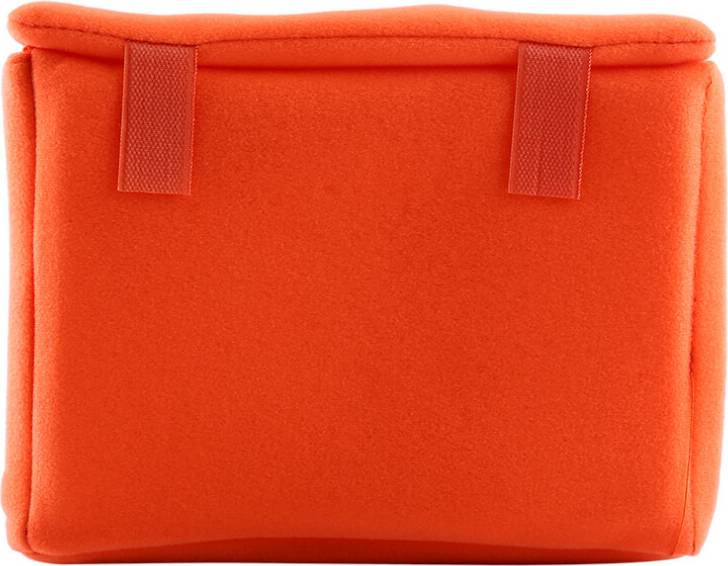 Padded Camera Insert Bag