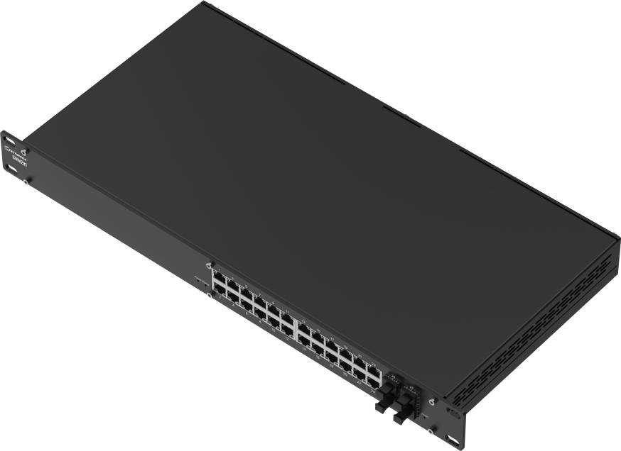 SWM281 L2 Plus Managed Switch