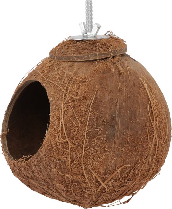 Ohphcall Natural Coconut Shell Birds For Parrots
