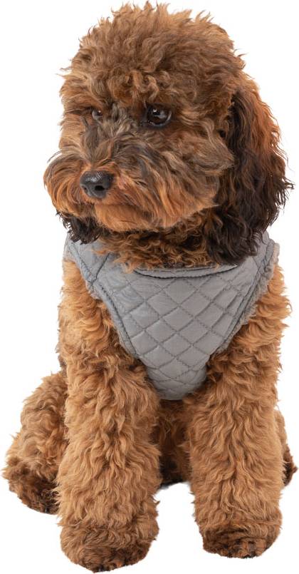 Pets at Home Quilted Shearling Vest Dog Harness Grey