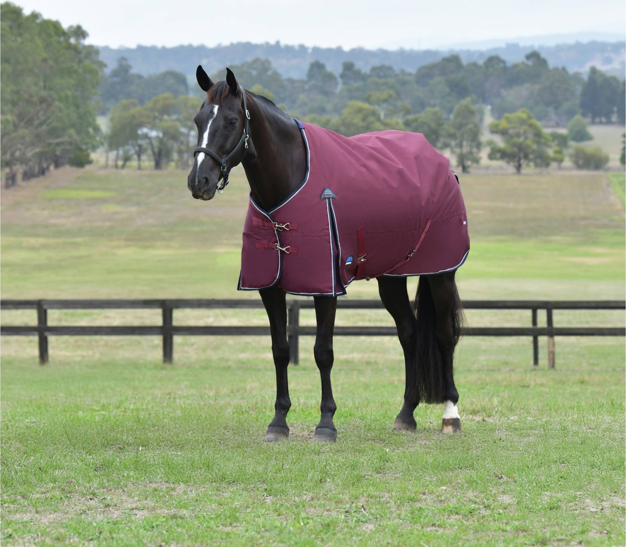 Coperta Da Paddock Comfitec Essential 0g - Rouge