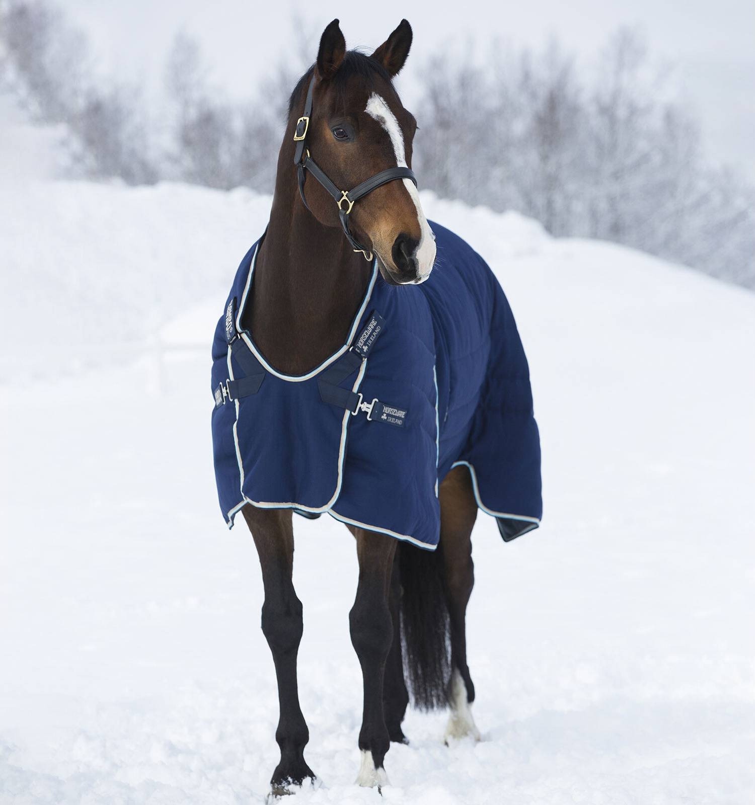 Horseware rambo optimo Horseware Rambo Optimo Stable Blanket - Bleu
