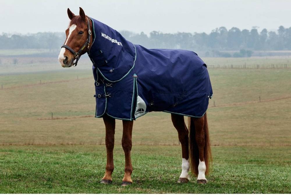 Weatherbeeta Comfitec Plus Dynamic Turnout Detach-A-Neck Rug - Navy