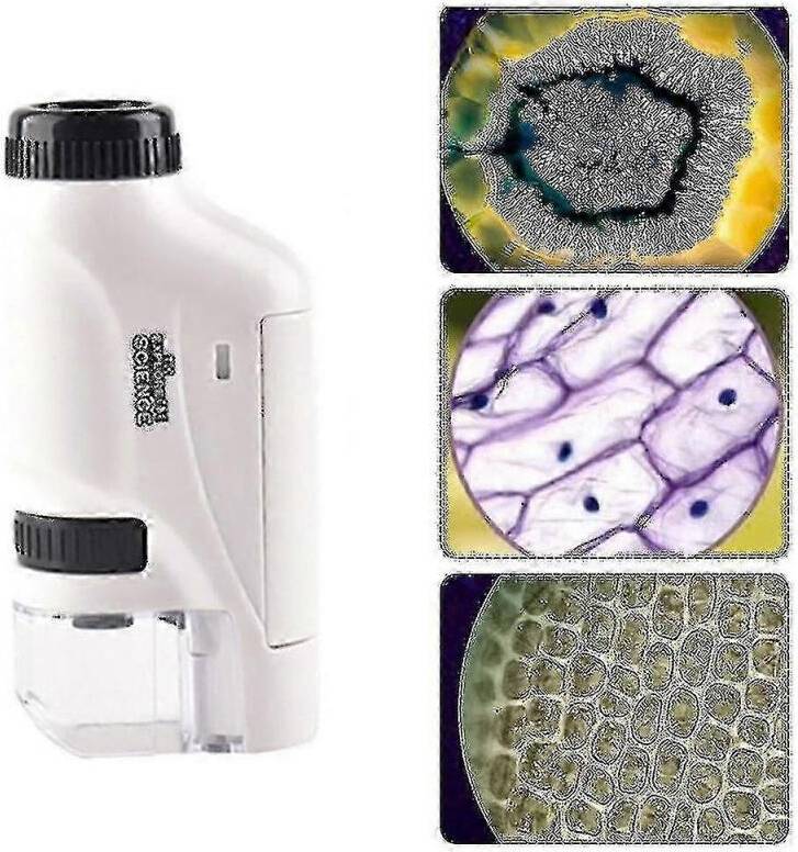 Handheld Microscope 60-120x Led Light