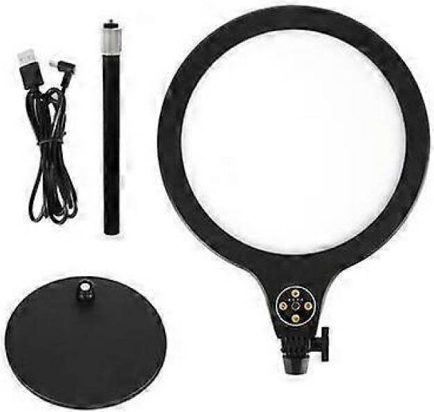 10 Inch Professional Live Fill Light