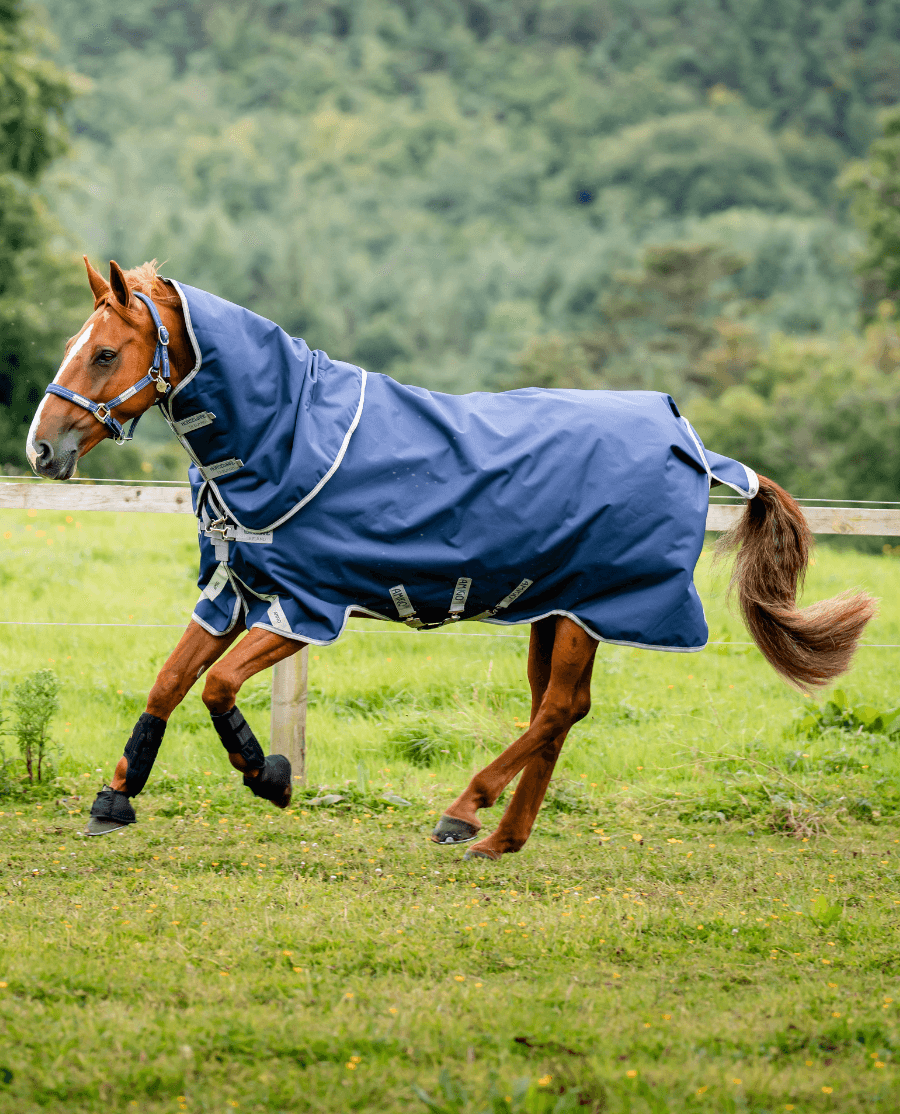 Amigo 1200D Plus Turnout Rug