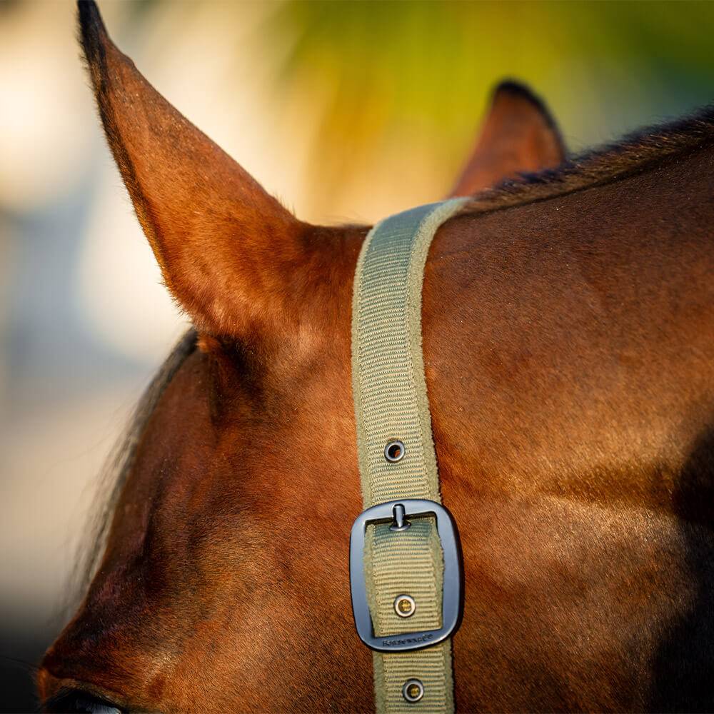 Horseware Halter And Lead Rope Set Amigo - Rouge