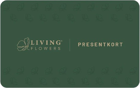 Digital Gift Card