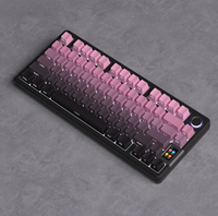 Jaycomia Gradient Side Print Backlit Keycap PBT Cherry Profile