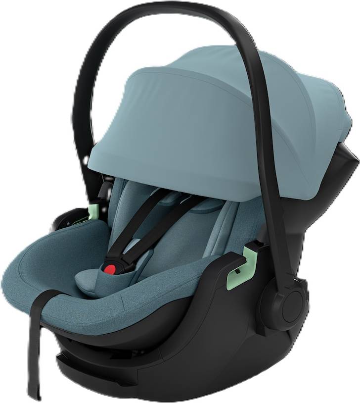 Thule Maple