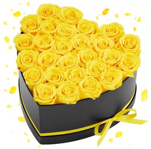 VEVOR Forever Flowers 27 Konserverte Roser