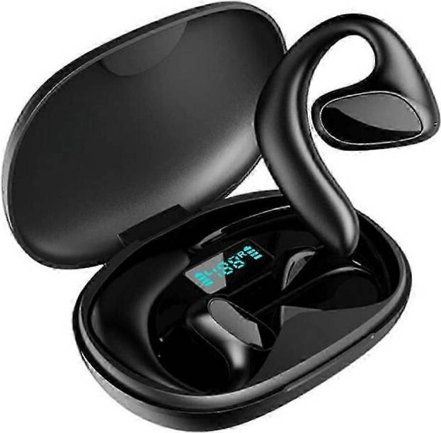 Language Translation Earbuds Two-Way