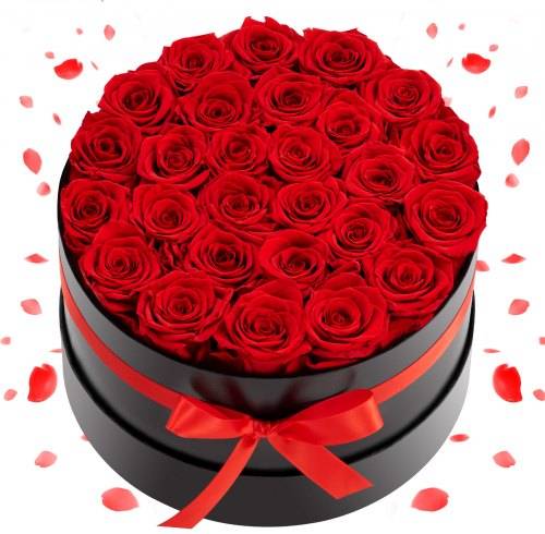 VEVOR Forever Flowers 27 Preserved Roses Round Box