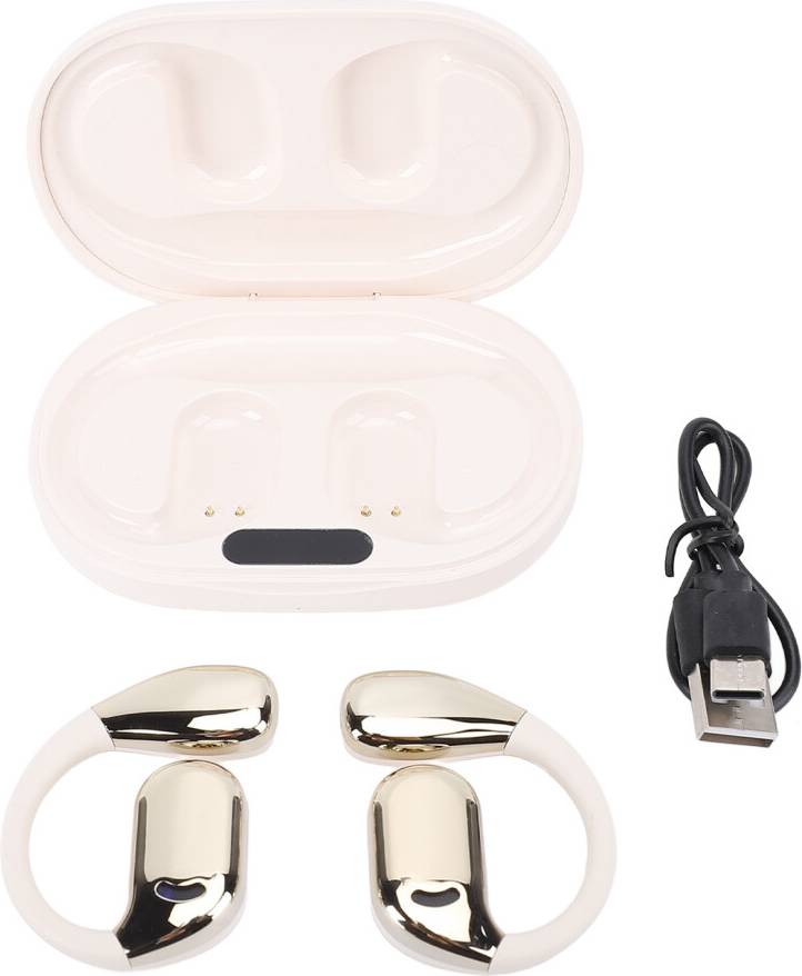 Translator Multiple Language Translator Earbuds