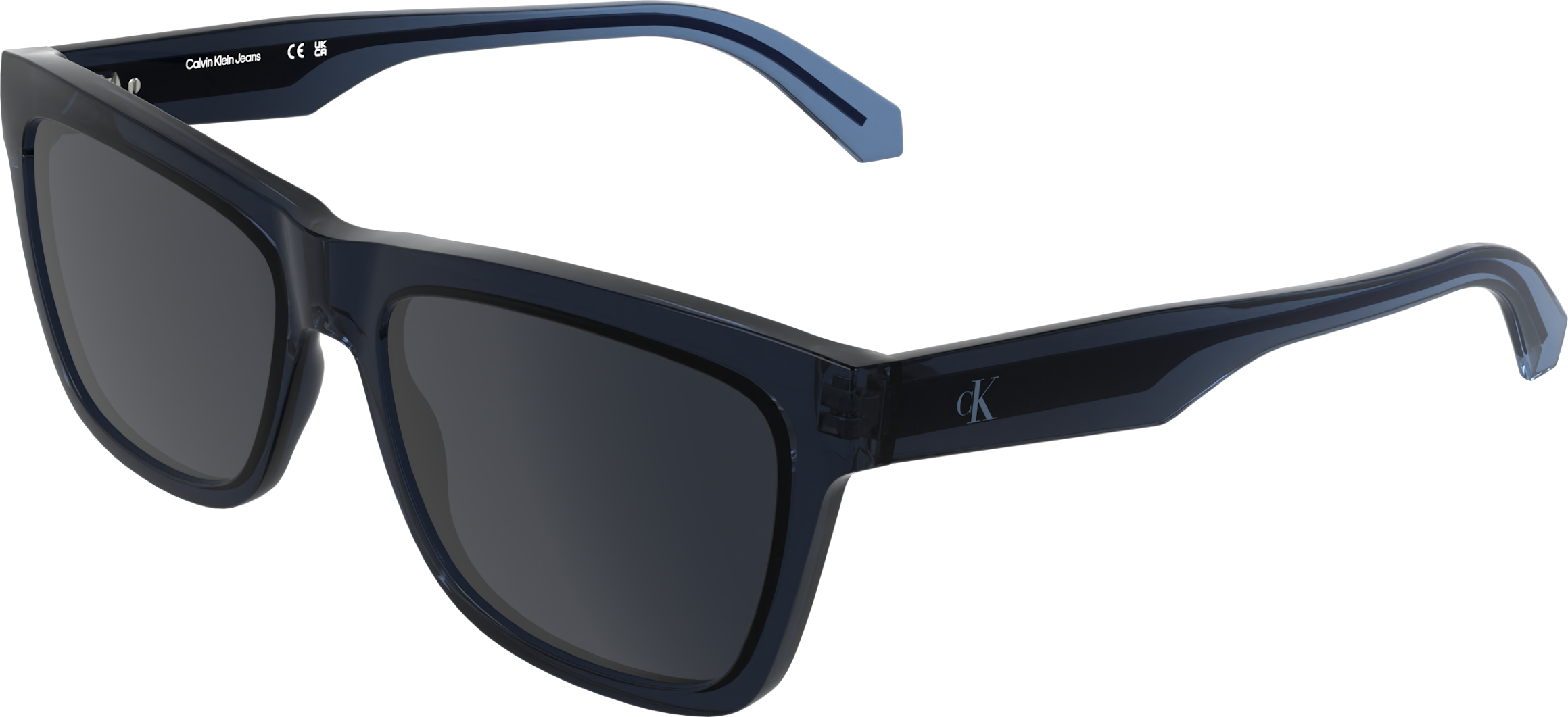 Calvin Klein Modified Rectangle Sunglasses