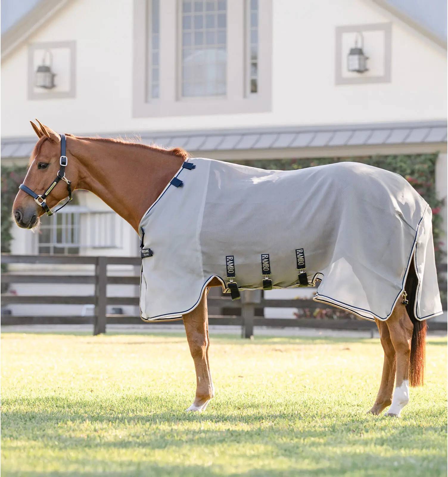 Horseware rambo Horseware Rambo Protector Fieldsafe