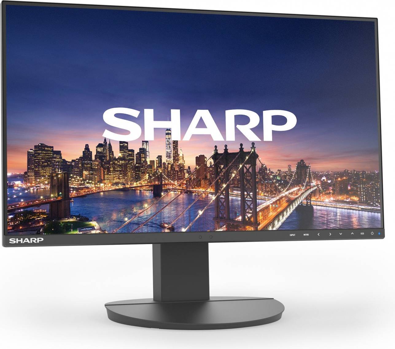 Sharp MultiSync EA241F 24 Inch Full HD LCD Monitor